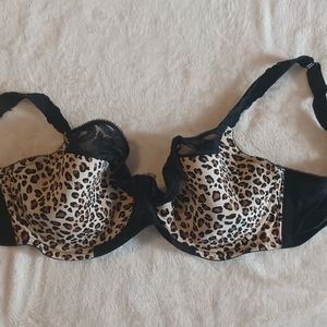 Cacique Bras size 38G